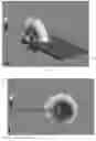 Fig. 09 - Millimeter wave array antenna and mobile terminal