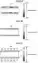 Fig. 08 - Power transmission unit