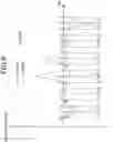 Fig. 07 - Phase angle estimation apparatus