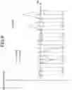 Fig. 10 - Phase angle estimation apparatus