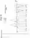 Fig. 13 - Phase angle estimation apparatus