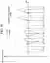 Fig. 15 - Phase angle estimation apparatus