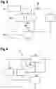Fig. 03 - Circuit arrangement for precharging an intermediate circuit capacitance of a high-voltage on-board network