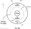 Fig. 33 - Apparatus and methods for launching electromagnetic waves having a certain electric field structure