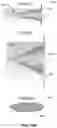 Fig. 42 - Apparatus and methods for launching electromagnetic waves having a certain electric field structure