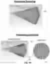 Fig. 44 - Apparatus and methods for launching electromagnetic waves having a certain electric field structure