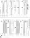 Fig. 11 - Methods for full duplex beamforming and online calibration in millimeter wave systems