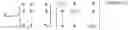 Fig. 03 - Facilitation of user equipment specific compression of beamforming coefficients for fronthaul links for 5G or other next generation network