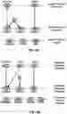 Fig. 06 - Resource management for beam failure recovery procedures