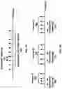 Fig. 08 - Resource management for beam failure recovery procedures