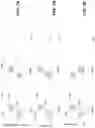 Fig. 09 - Mini-slot based repetition and frequency hopping