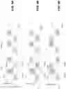 Fig. 10 - Mini-slot based repetition and frequency hopping