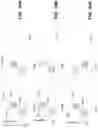 Fig. 12 - Mini-slot based repetition and frequency hopping