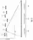 Fig. 03 - Authenticated confirmation and activation message