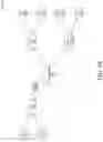 Fig. 02 - Underlay network formation