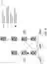 Fig. 10 - Underlay network formation