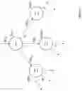 Fig. 05 - Packet processing graphs