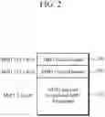 Fig. 03 - Apparatus and method for configuring MMT payload header