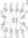 Fig. 07 - Forwarding element data plane performing floating point computations