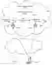 Fig. 06 - Content delivery systems and methods