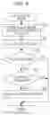 Fig. 07 - Image forming apparatus performing notification by voice, storage medium storing control program, and control method