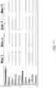 Fig. 13 - Pipeline for high dynamic range video coding based on luminance independent chromaticity preprocessing
