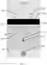 Fig. 03 - IMAGING CONTROL METHOD AND DEVICE