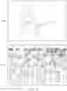 Fig. 14 - Method for processing image based on scene recognition of image and electronic device therefor