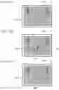 Fig. 13 - MEASUREMENT DEVICE, METHOD OF OPERATING MEASUREMENT DEVICE, AND RECORDING MEDIUM