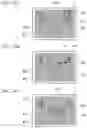 Fig. 22 - MEASUREMENT DEVICE, METHOD OF OPERATING MEASUREMENT DEVICE, AND RECORDING MEDIUM