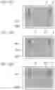 Fig. 26 - MEASUREMENT DEVICE, METHOD OF OPERATING MEASUREMENT DEVICE, AND RECORDING MEDIUM