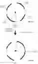 Fig. 18 - Conditional forced perspective in spherical video