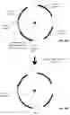 Fig. 19 - Conditional forced perspective in spherical video