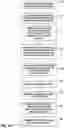 Fig. 13 - Motion vector predictor list generation