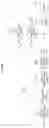 Fig. 03 - Method and apparatus for processing video signal