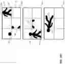 Fig. 11 - Processing spherical video data