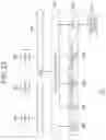 Fig. 20 - Transmission device, transmission method, reception device, and reception method