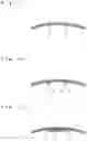 Fig. 06 - SPEAKER