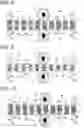 Fig. 04 - Transducer and method for manufacturing same