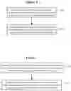 Fig. 10 - Hearing device incorporating phased array antenna arrangement