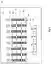 Fig. 07 - Digital audio communication and control in a live performance venue