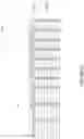Fig. 14 - System, method, and apparatus for generating and digitally processing a head related audio transfer function