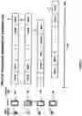 Fig. 15 - Methods on mobile devices to locate persons