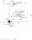 Fig. 12 - SYSTEM AND METHOD FOR AUTOMATED RADIO FREQUENCY SAFETY SYSTEM FOR MULTIPLE/SINGLE DISTRIBUTED ANTENNA SYSTEMS