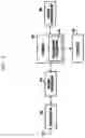 Fig. 07 - Communication method and apparatus in wireless communication system
