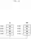 Fig. 03 - Method and apparatus for transmitting data in a mobile communication system