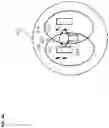 Fig. 09 - Long term evolution radio access network