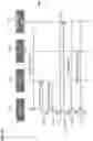 Fig. 19 - Long term evolution radio access network