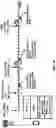 Fig. 20 - Beam failure recovery procedure in carrier aggregation