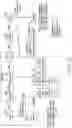 Fig. 13 - Wireless communication network in wireless communication system